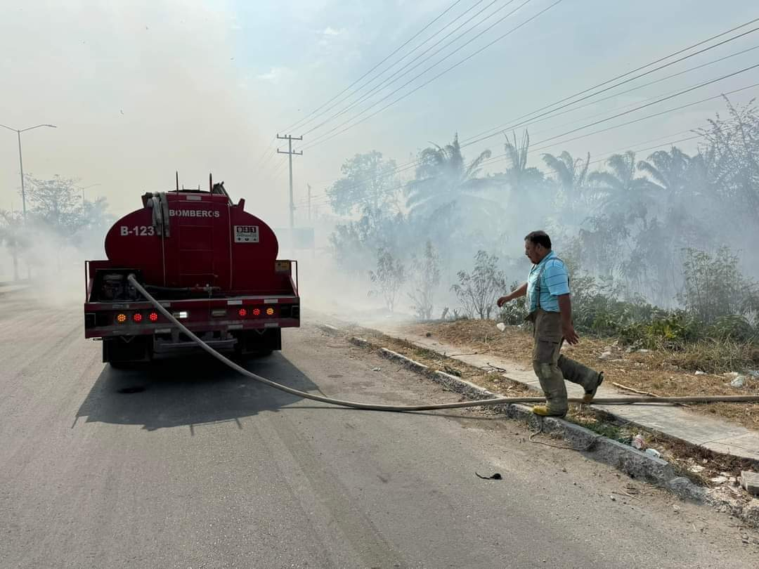 Los incendios de maleza continúan en la ciudad Los incendios de maleza continúan en la ciudad