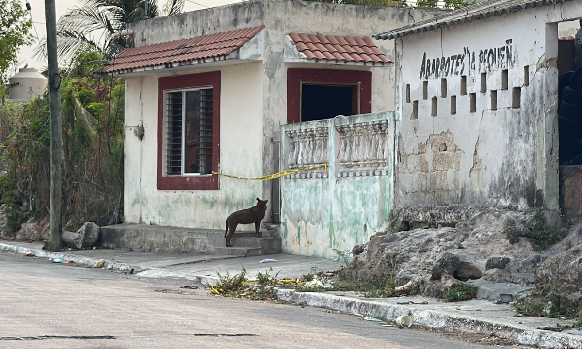 Tras esperar 40 minutos sus amigos forzaron la puerta del baño