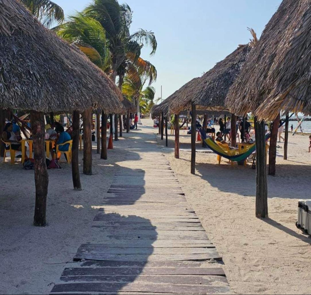 Actualmente cuentan con 106 palapas Actualmente cuentan con 106 palapas