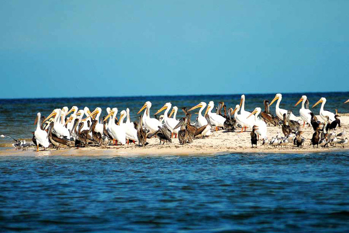 El contacto con la naturaleza es una de las experiencias de este municipio El contacto con la naturaleza es una de las experiencias de este municipio