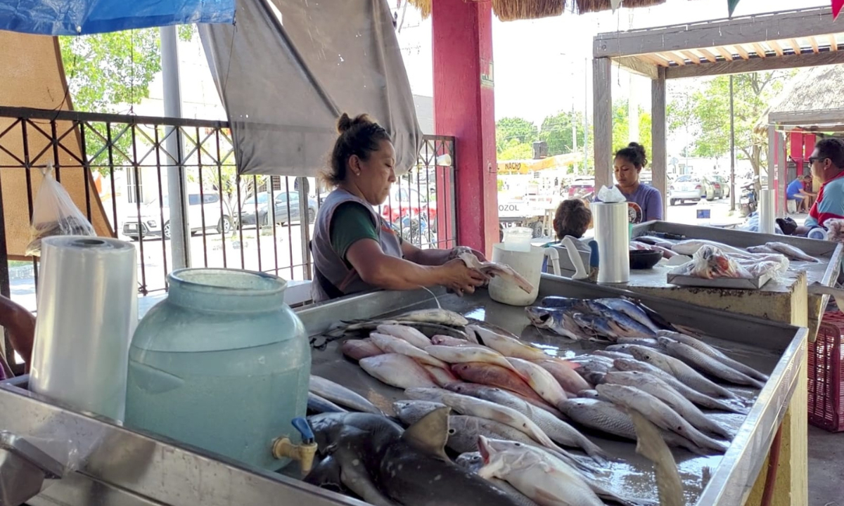 Por calor extremo, IMSS Campeche llama a tomar medidas de higiene en alimentos 