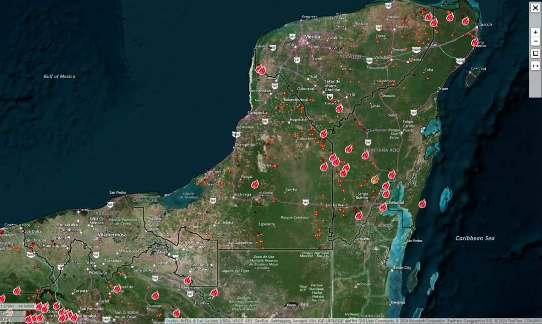 Incendios han afectado más de 3 mil hectáreas Incendios han afectado más de 3 mil hectáreas