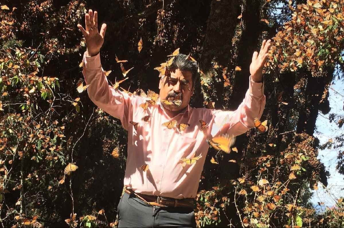 Netflix estrena documental de Homero Gómez, 'El Guardián de las Monarcas' Netflix estrena documental de Homero Gómez, 'El Guardián de las Monarcas'