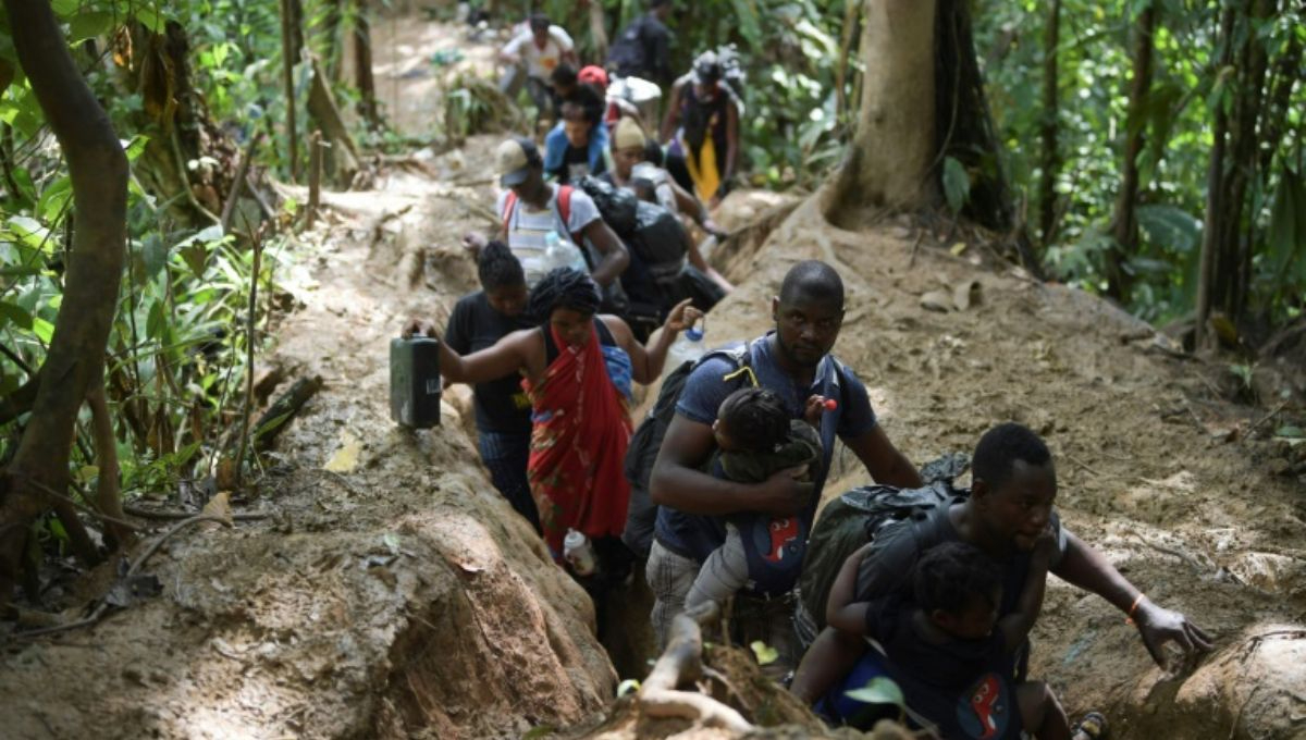 Panamá señaló que no construirá un muro fronterizo en la selva del Darién Panamá señaló que no construirá un muro fronterizo en la selva del Darién