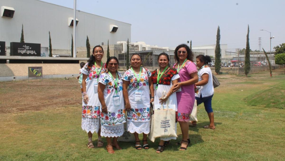 Celebran Encuentro de Mujeres Meliponicultoras de Yucatán por el Día Mundial de las Abejas