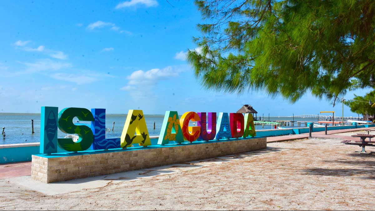 Conoce el lugar de Campeche donde siempre hay delfines 