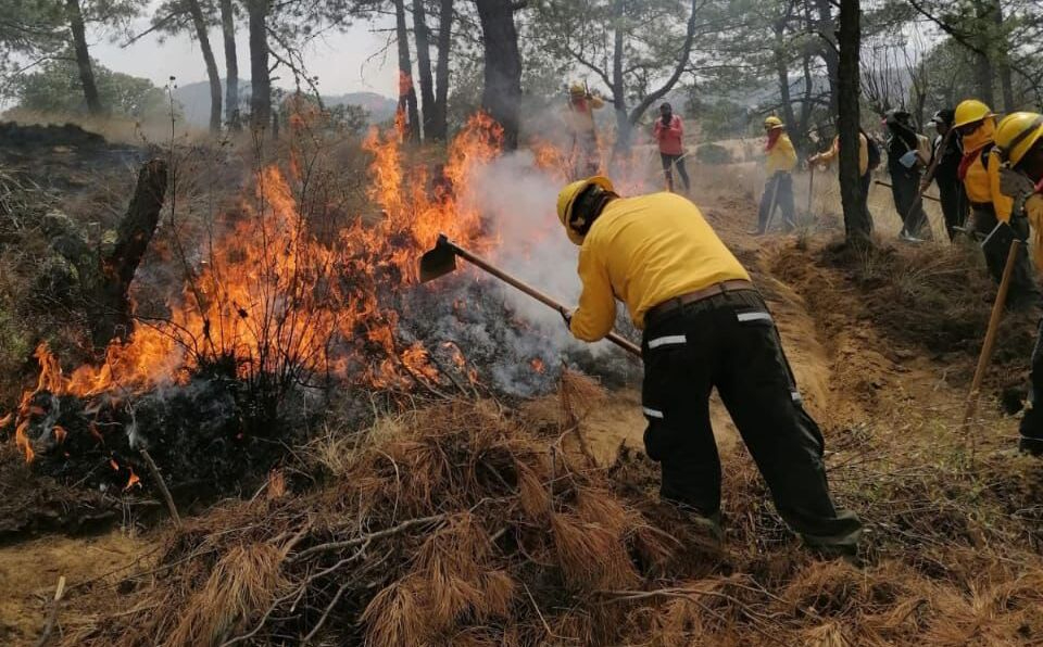 Ya hay seis incendios activos en Campeche