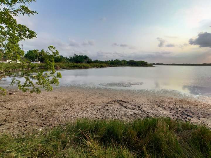La laguna Noh-Bec, donde el agua se ha retirado y se ve el barro seco La laguna Noh-Bec, donde el agua se ha retirado y se ve el barro seco