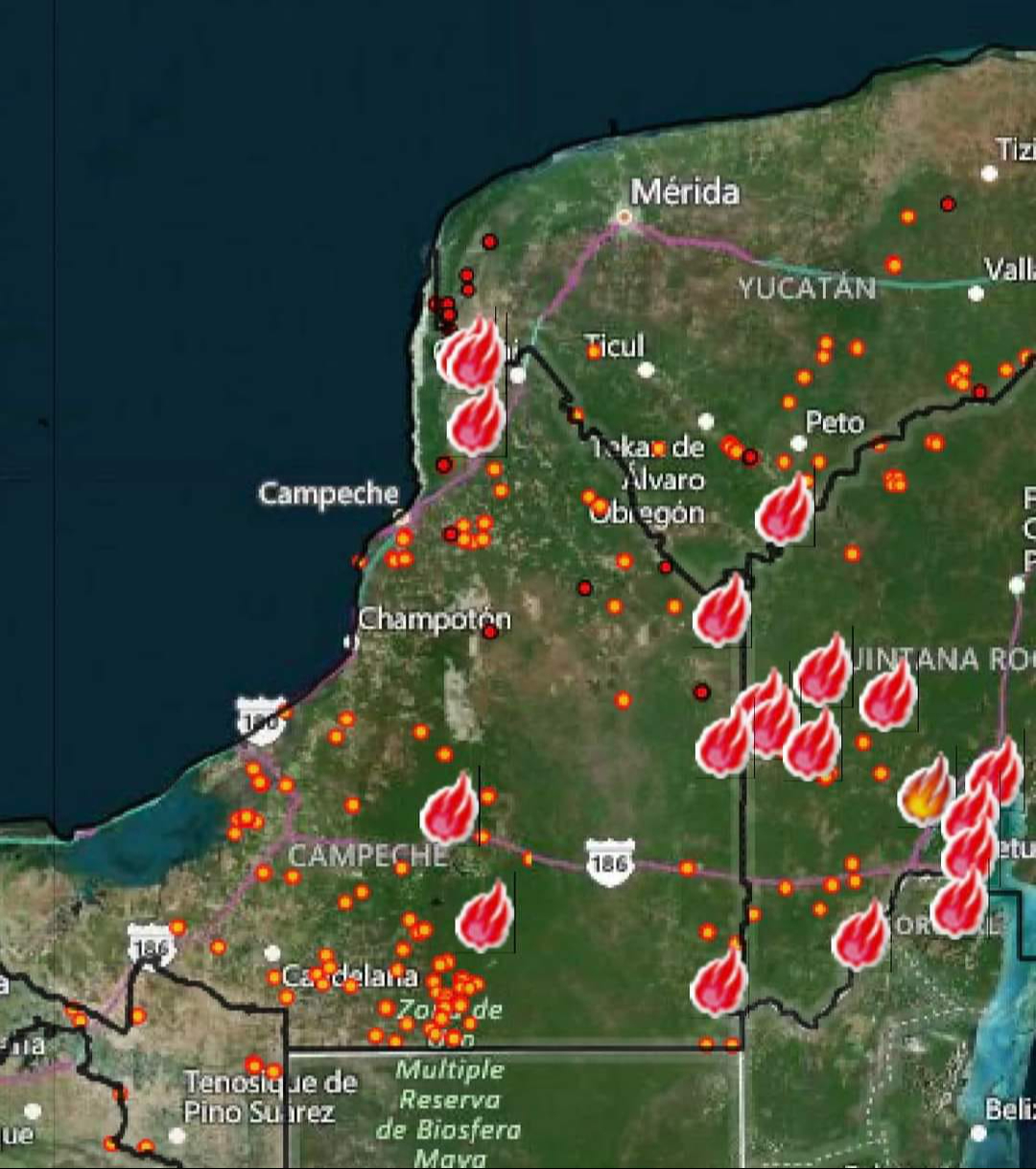 El incendio forestal de Xnohá en Hopelchén ya fue liquidado El incendio forestal de Xnohá en Hopelchén ya fue liquidado