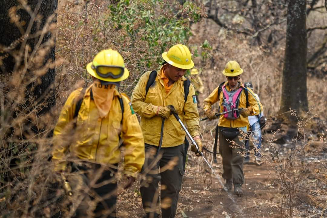 El nuevo incendio tiene afectaciones preliminares en 600 hectáreas El nuevo incendio tiene afectaciones preliminares en 600 hectáreas