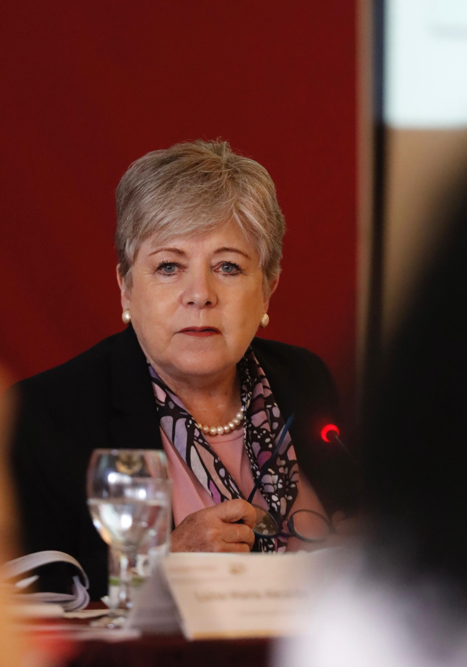 Alicia Bárcena lamentó los hechos a través de la Secretaría de Relaciones Exteriores Alicia Bárcena lamentó los hechos a través de la Secretaría de Relaciones Exteriores