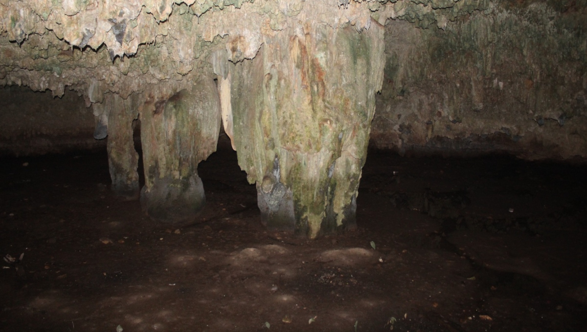 El nivel de varios cenotes de Yucatán ha descendido hasta los 50 centímetros en tan sólo abril y mayo El nivel de varios cenotes de Yucatán ha descendido hasta los 50 centímetros en tan sólo abril y mayo