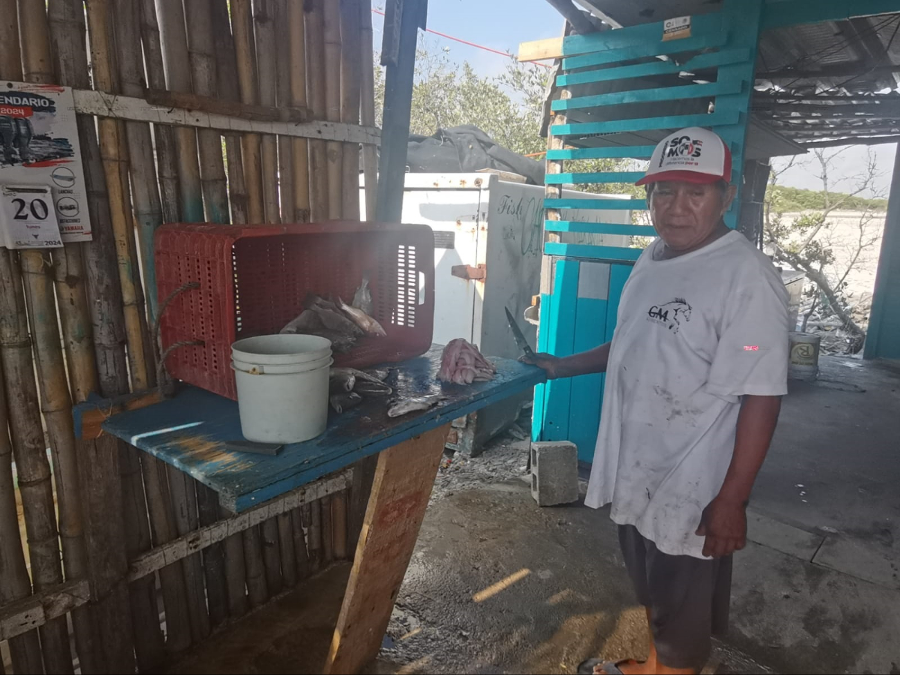 Pescadores han preferido esperar a la temporada de pulpo Pescadores han preferido esperar a la temporada de pulpo