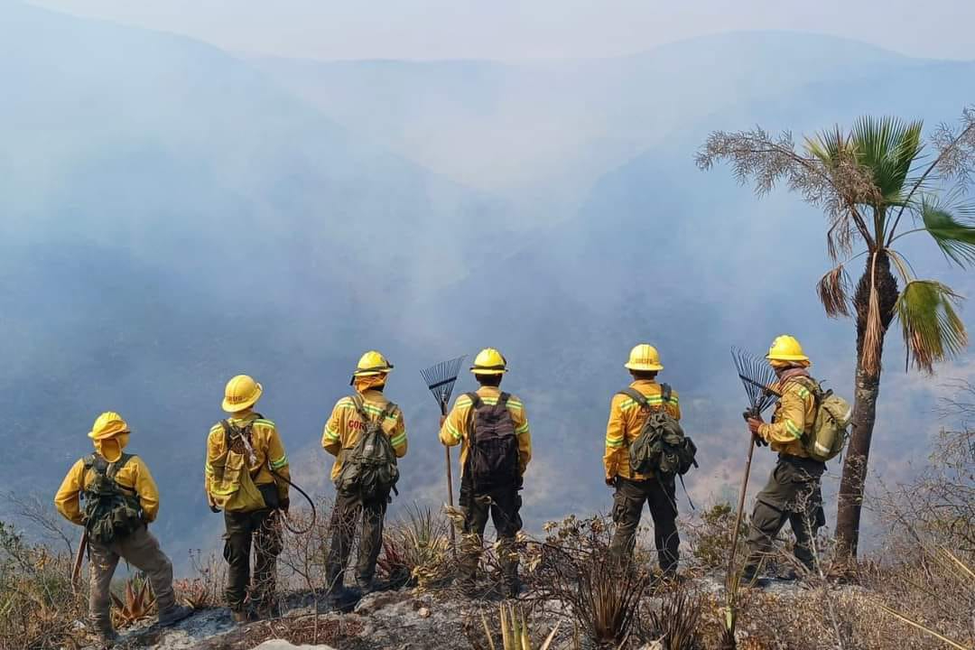 Aún quedan cuatro incendios por liquidar Aún quedan cuatro incendios por liquidar