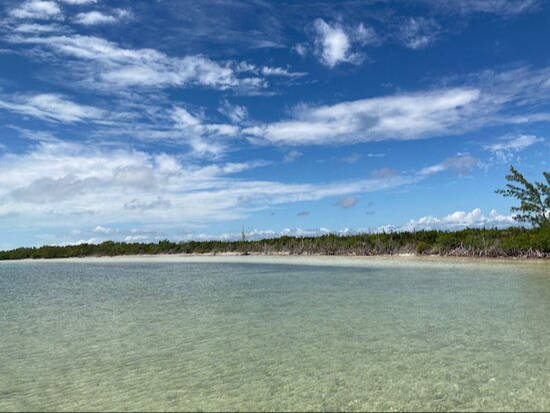 La Bahía de la Ascensión es un destino popular para el buceo y el snorkel La Bahía de la Ascensión es un destino popular para el buceo y el snorkel