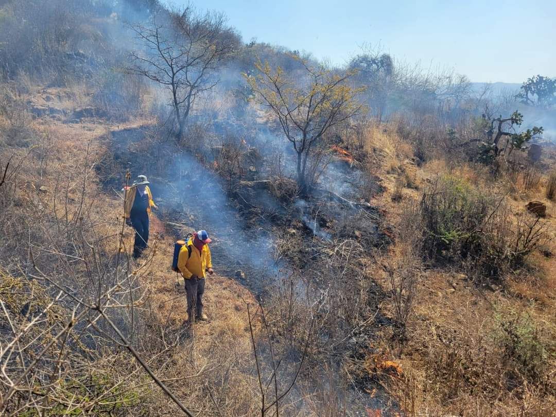 ¡Alarma en Campeche! Registra más de 37 mil puntos de calor   