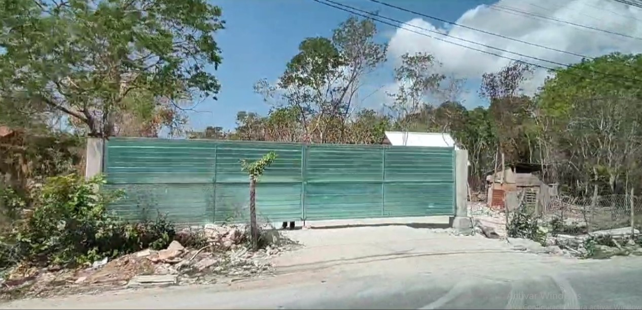 La gente ha aprovechado la temporada de sequía e incendios para talar y quemar más árboles, La gente ha aprovechado la temporada de sequía e incendios para talar y quemar más árboles,
