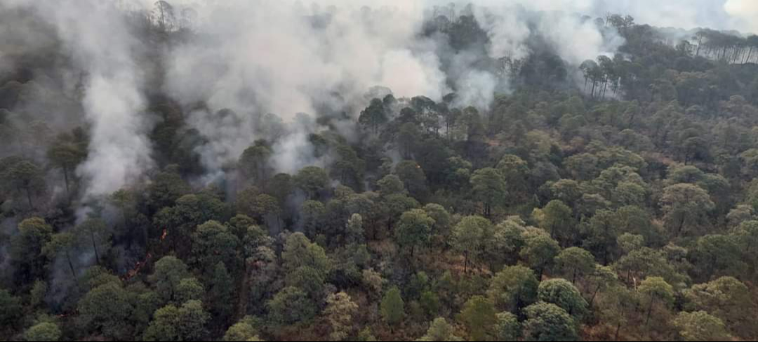 Más de 5 mil puntos de calor en Campeche Más de 5 mil puntos de calor en Campeche