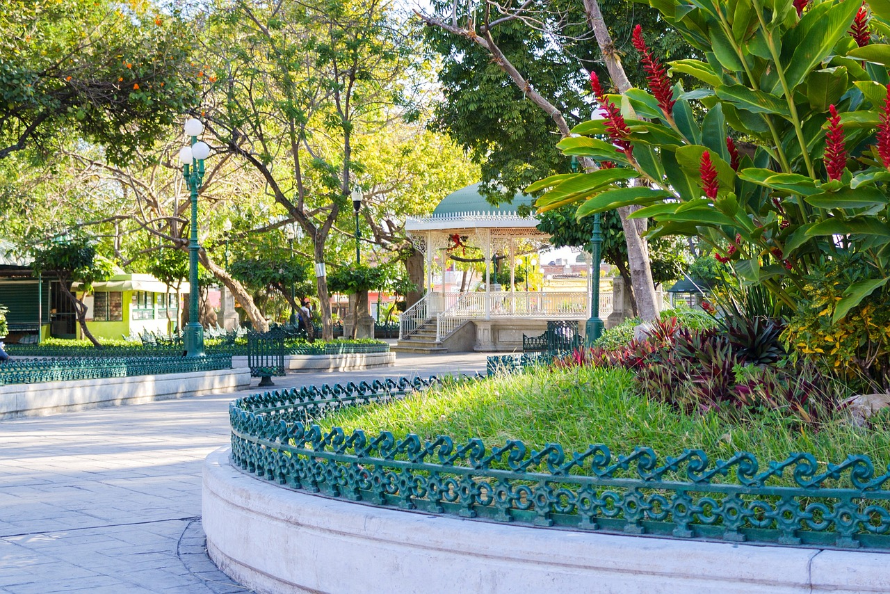 Plaza pública, rodeada de árboles, en México Plaza pública, rodeada de árboles, en México