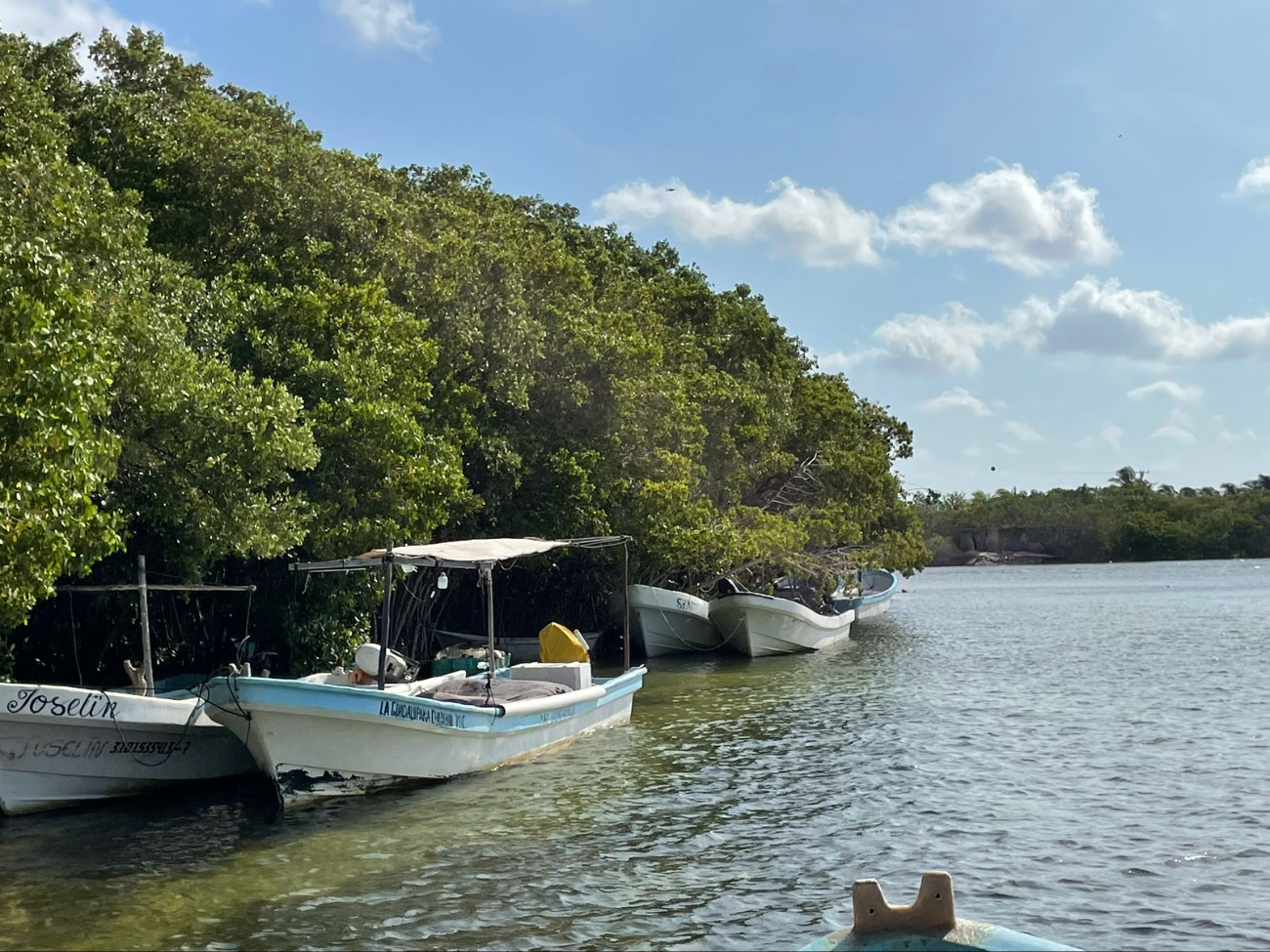 Entre las actividades que se pueden realizar está la pesca. Entre las actividades que se pueden realizar está la pesca.