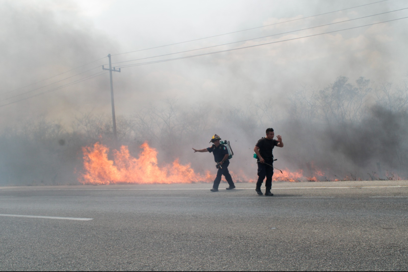 Los incendios se mantienen en zonas de maleza Los incendios se mantienen en zonas de maleza