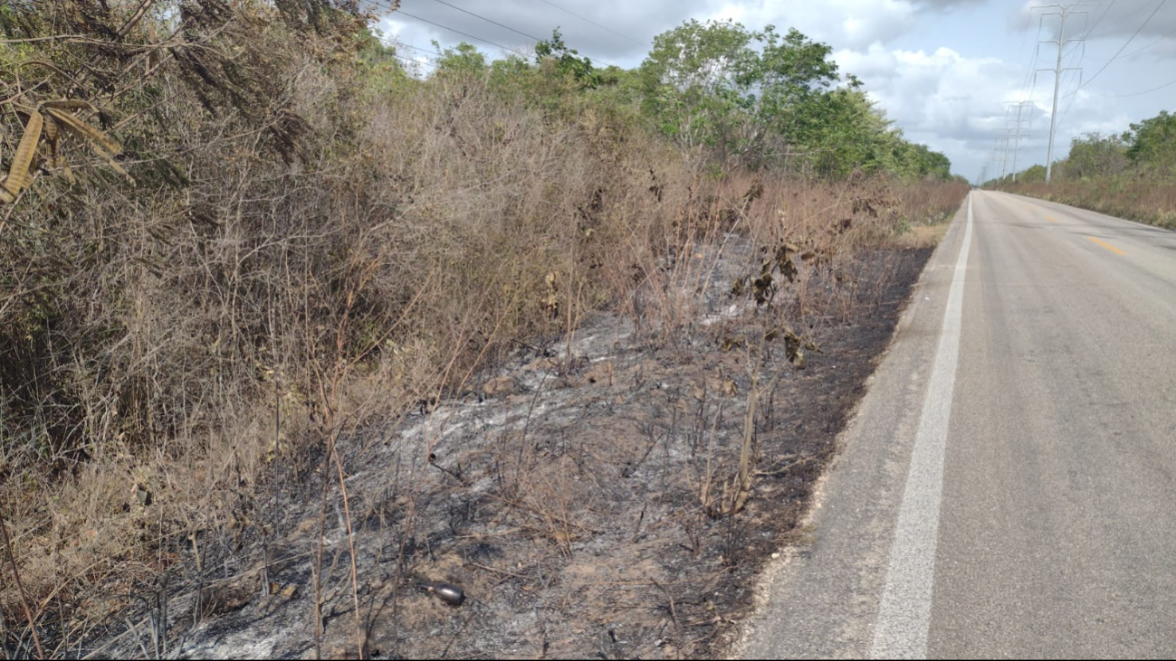 Varios incendios se han registrado en zonas forestales de Quintana Roo Varios incendios se han registrado en zonas forestales de Quintana Roo