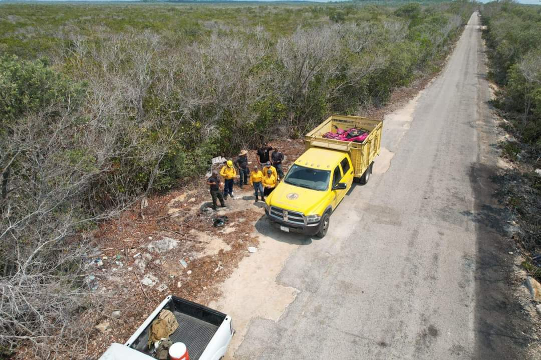 Debido a que es una zona de manglar, no se pude combatir de forma directa Debido a que es una zona de manglar, no se pude combatir de forma directa
