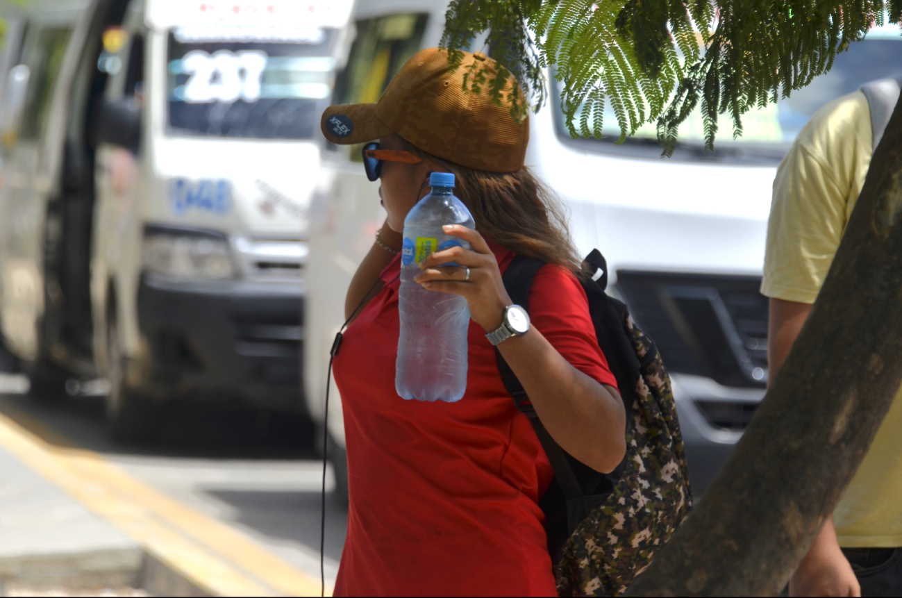 La Cruz Roja en Cancún ya ha atendido a un total de 14 personas por problemas relacionados con las cuestiones climáticas La Cruz Roja en Cancún ya ha atendido a un total de 14 personas por problemas relacionados con las cuestiones climáticas