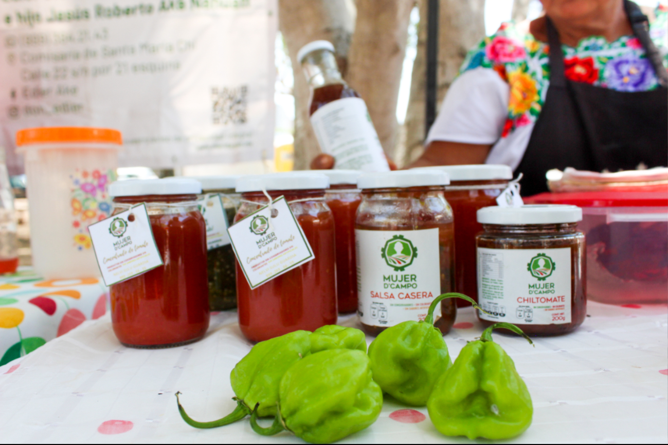Calor, un desafío para productores en Yucatán 