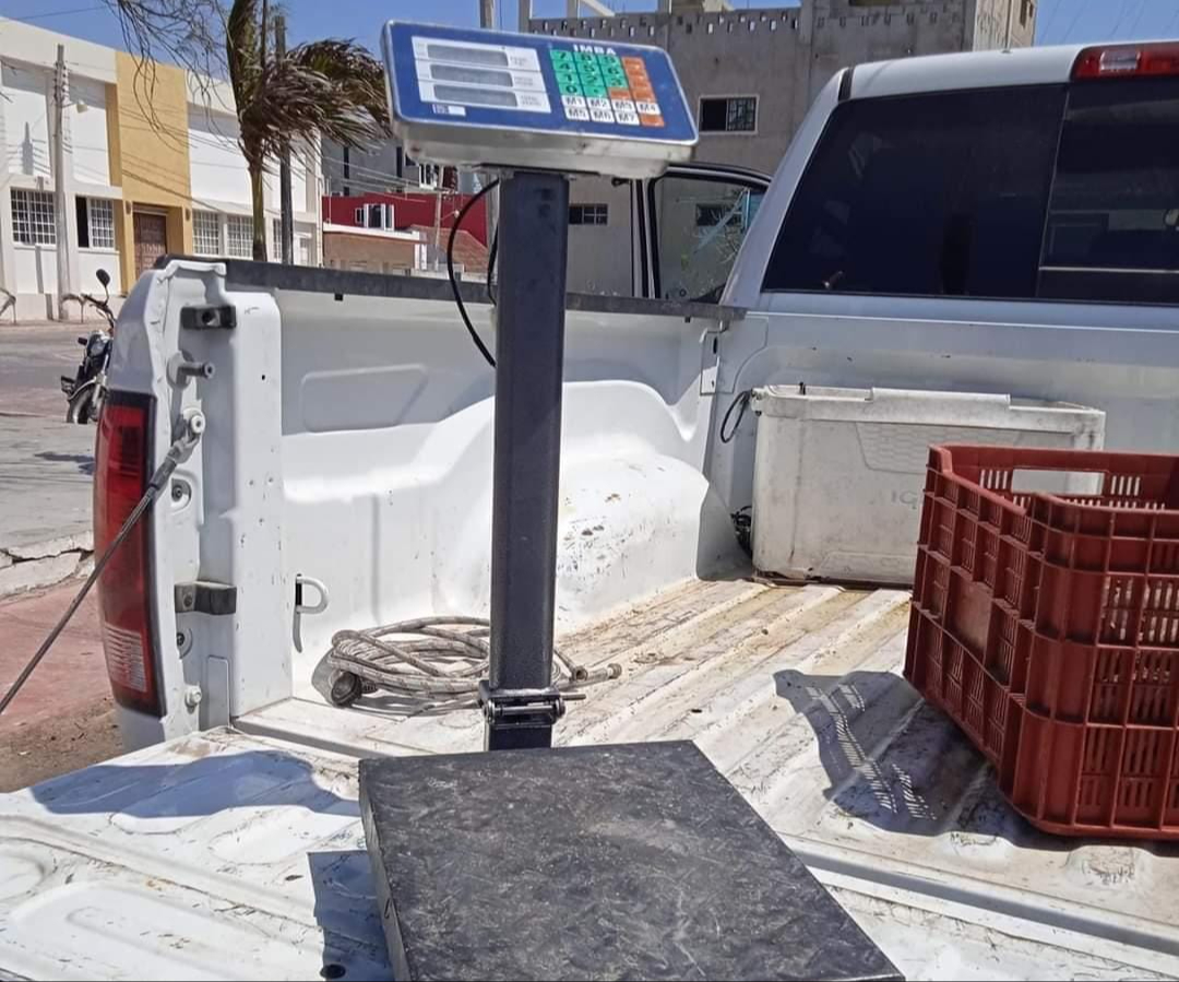 Durante el operativo también se decomisó una báscula Durante el operativo también se decomisó una báscula