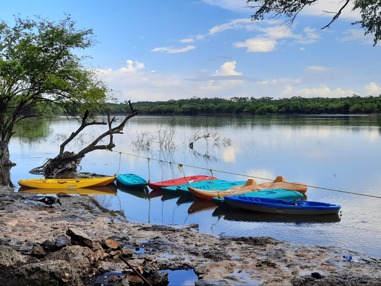 Así se veía la laguna de Nachicocom; hoy solo hay piedras y matorrales Así se veía la laguna de Nachicocom; hoy solo hay piedras y matorrales