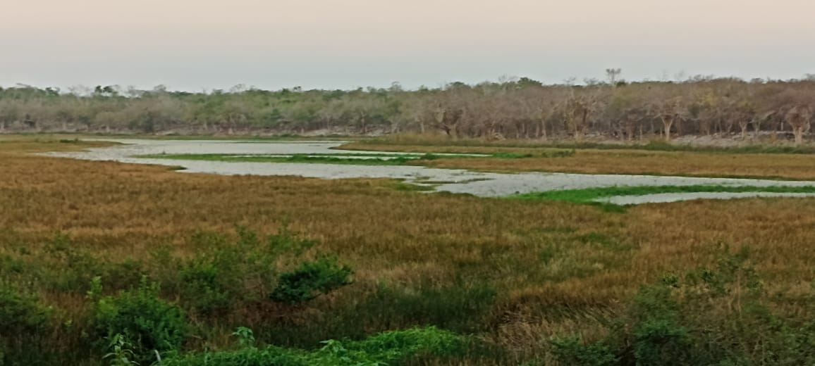 Aunque parece agua, se trata de espacios de arena, prueba de que ahí había agua Aunque parece agua, se trata de espacios de arena, prueba de que ahí había agua