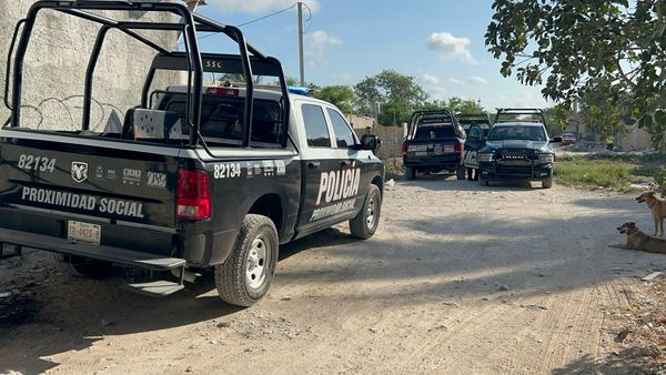 Al lugar arribaron elementos de la Policía de Quintana Roo Al lugar arribaron elementos de la Policía de Quintana Roo