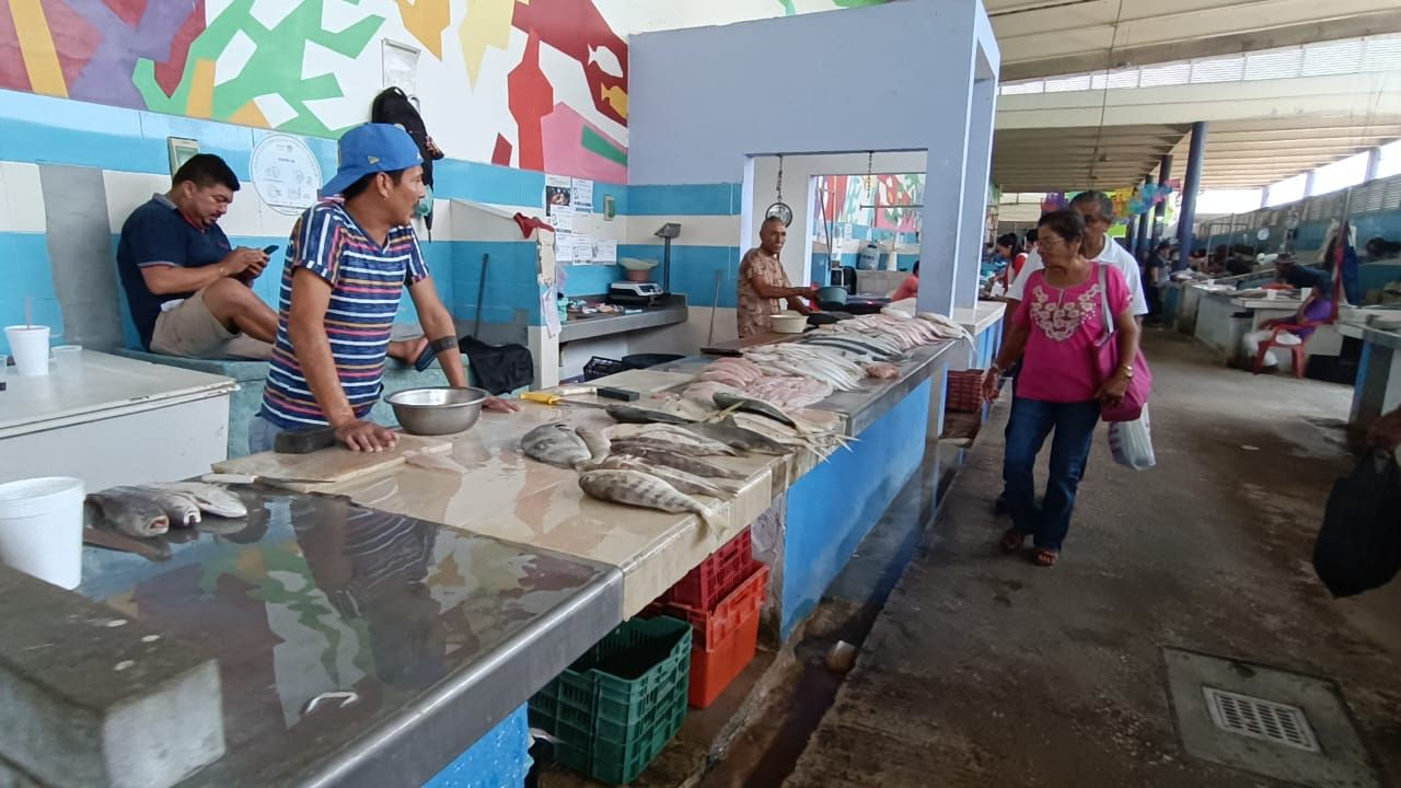 Pesca en Ciudad del Carmen se va en picada por escasez de hielo