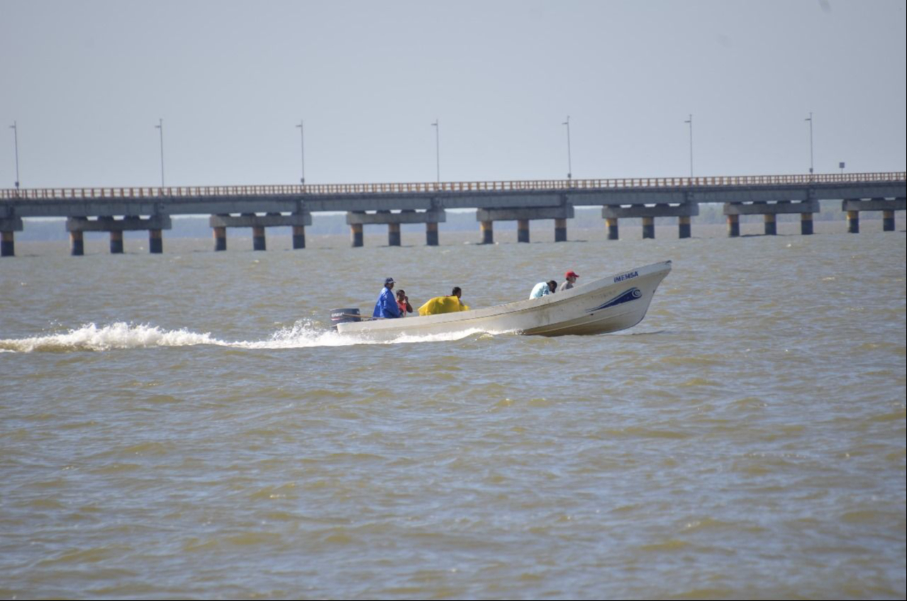 La situación de la actividad es precaria; la caída en los volúmenes de captura obliga a los pescadores a adentrarse cada vez más mar adentro y arriesgar la vid