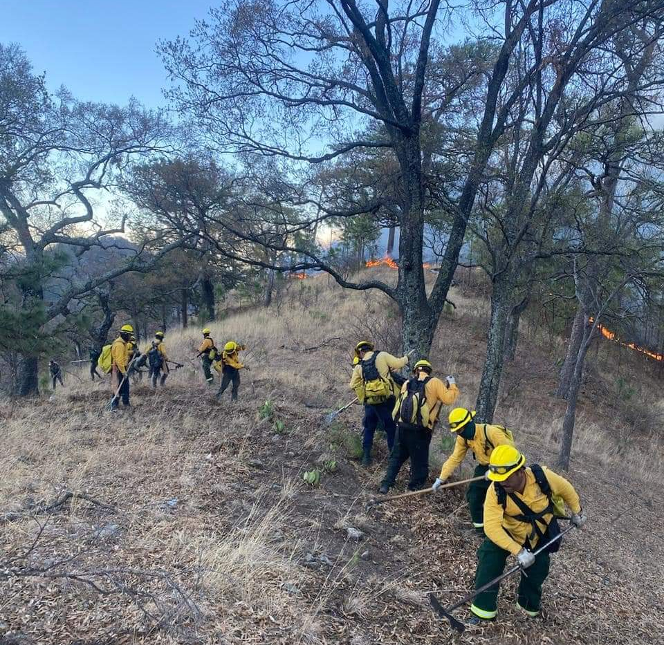 Del uno de enero al 28 de mayo Campeche acumula 25 incendios forestales Del uno de enero al 28 de mayo Campeche acumula 25 incendios forestales