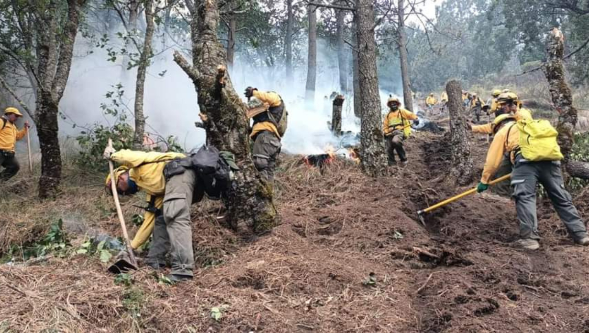 En Campeche, faltan cuatro incendios forestales por liquidar 