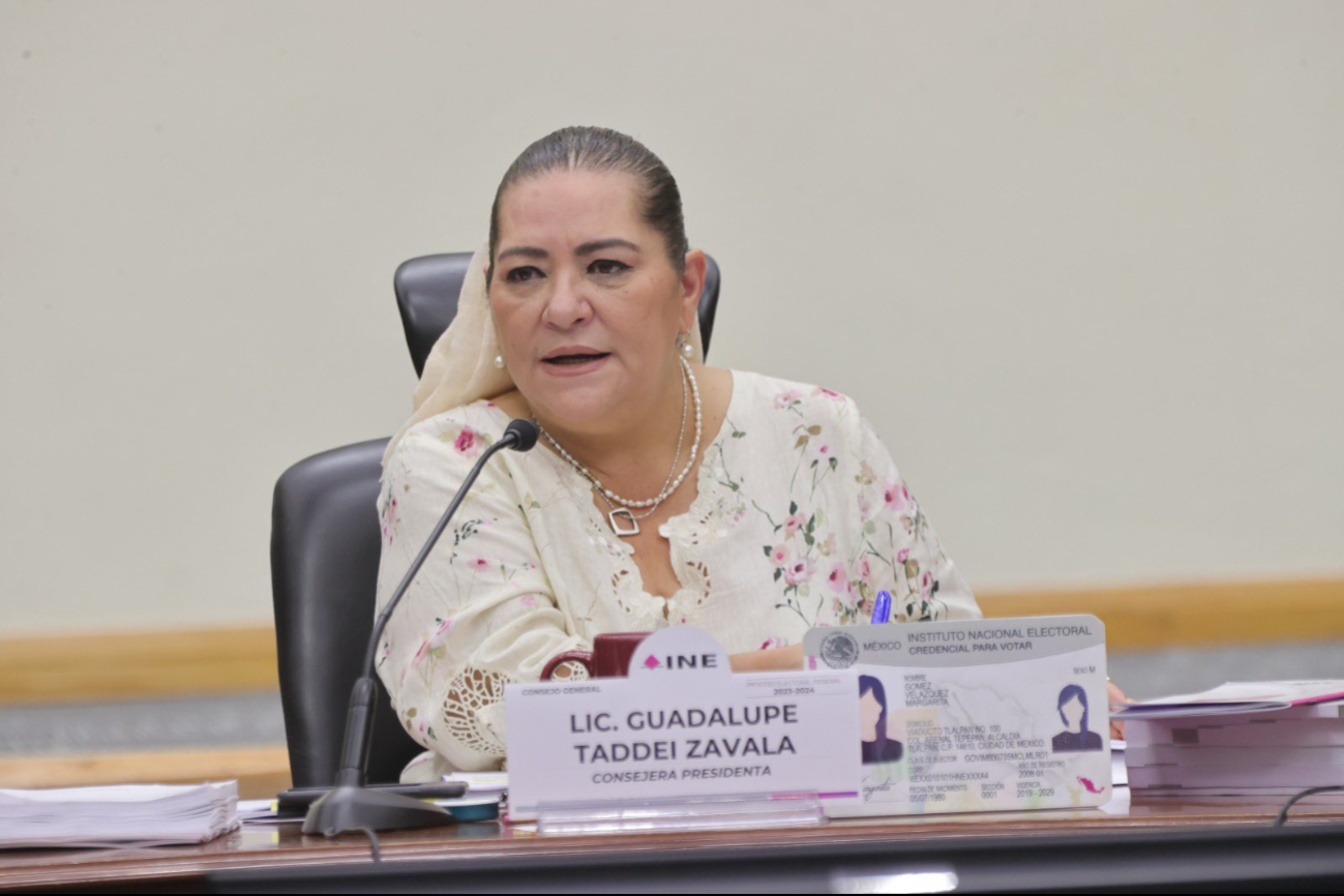 Guadalupe Taddei Zavala, presidenta del Consejo General del INE Guadalupe Taddei Zavala, presidenta del Consejo General del INE