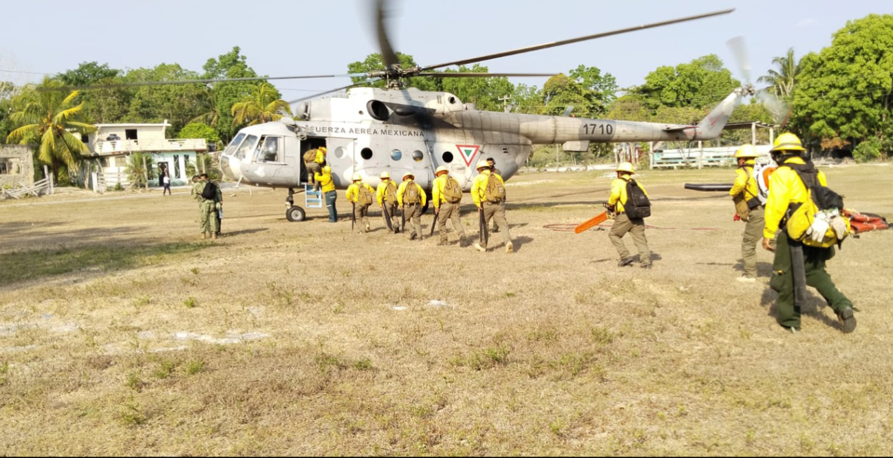 Hay varios incendios activos en Quintana Roo Hay varios incendios activos en Quintana Roo
