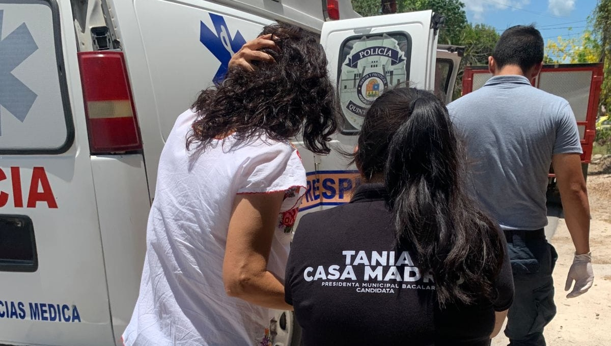   Abejas atacan durante el cierre de campaña de la candidata del PRIAN en Bacalar; hay heridos   