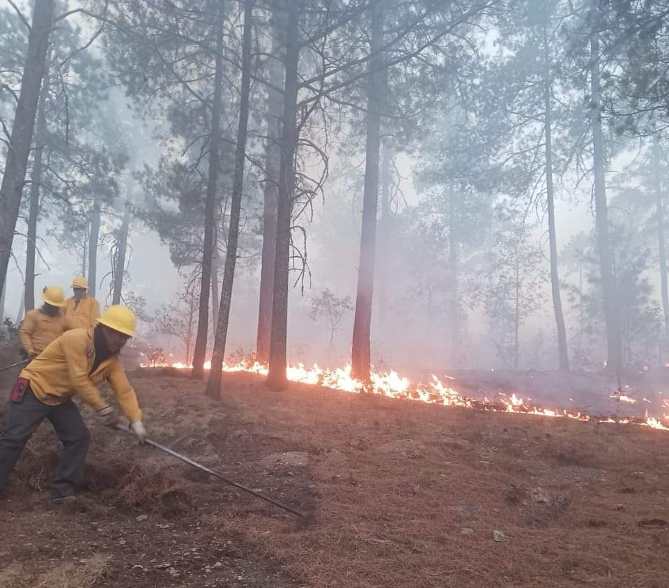 Tenemos cuatro incendios forestales activos: Semabicce Tenemos cuatro incendios forestales activos: Semabicce