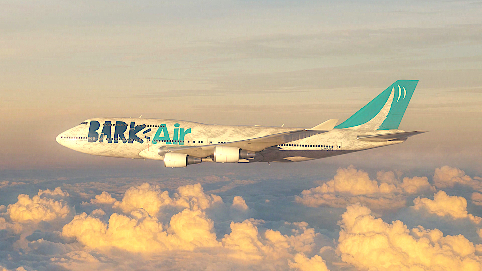 Bark Air ofrece tres destinos para viajar con mascotas Bark Air ofrece tres destinos para viajar con mascotas