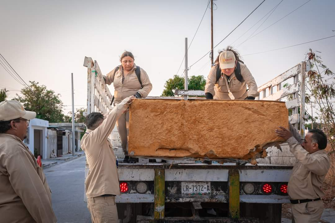 Dijo que las labores de sacar cacharros de las casas igual son de suma importancia