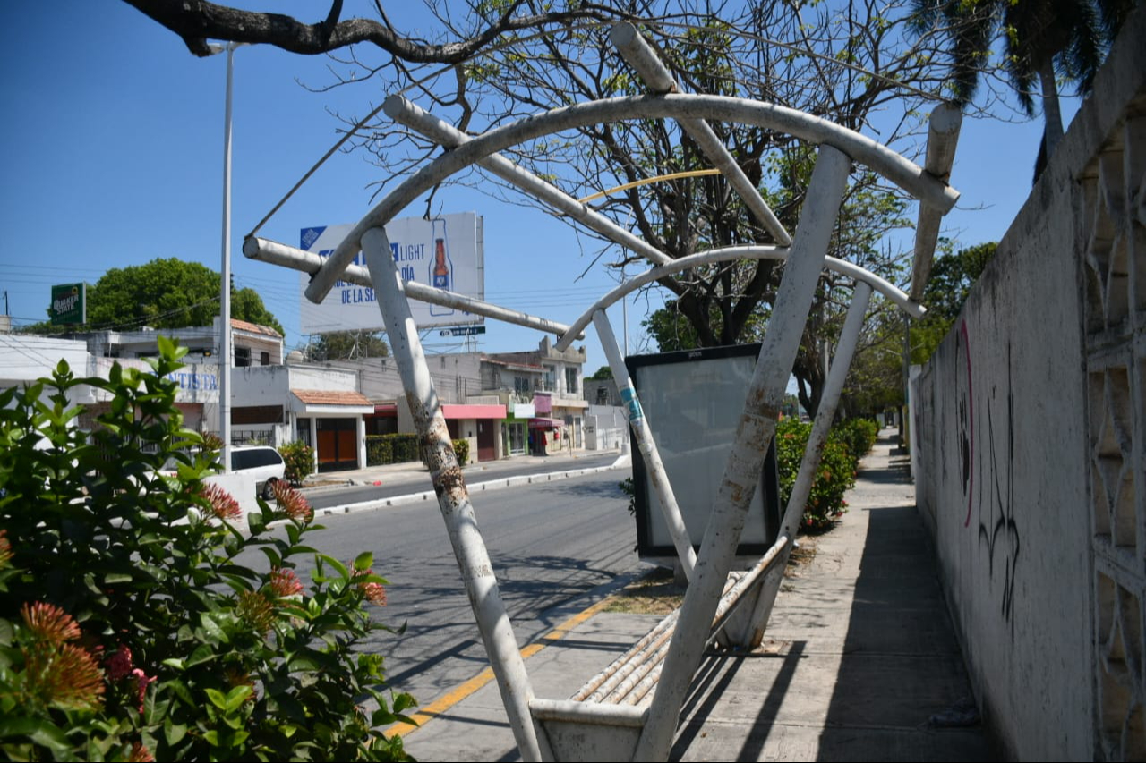 No tienen sombra para los usuarios No tienen sombra para los usuarios