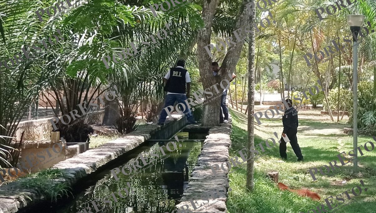 Agentes policiacos abordaron el área de tilapias en el Parque La Reina Agentes policiacos abordaron el área de tilapias en el Parque La Reina