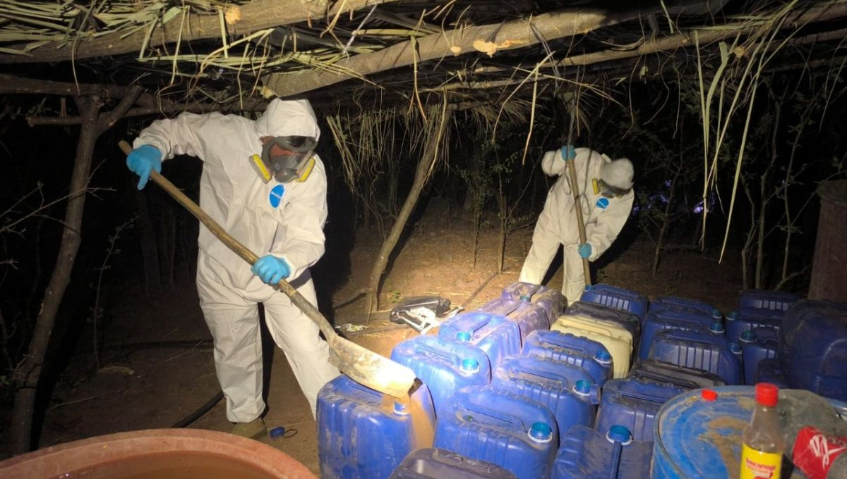 Secretaría de Marina desmantela ocho laboratorios de drogas sintéticas en Sinaloa
