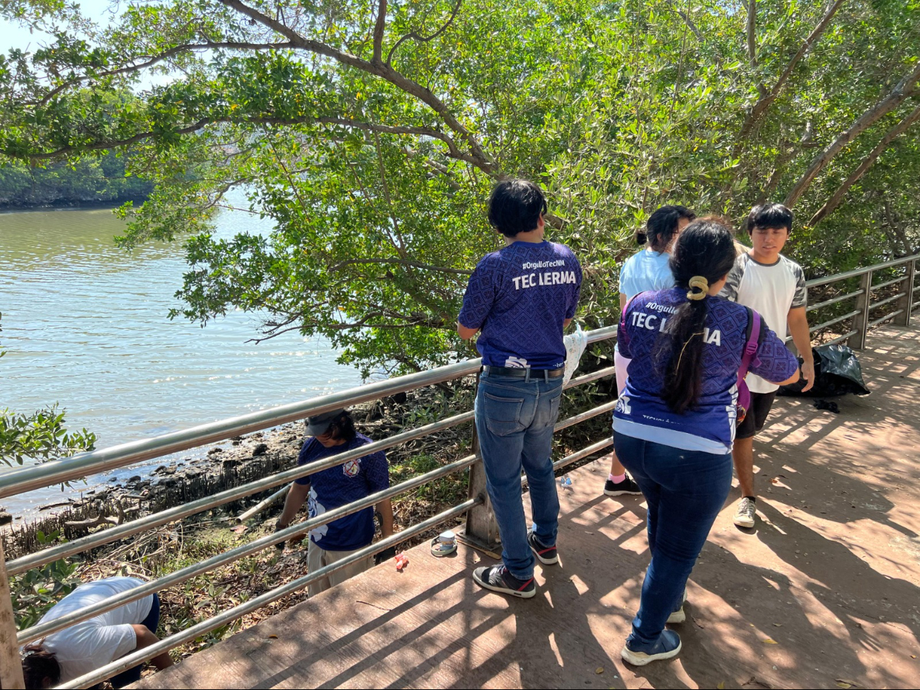 Alumnos del Tecnológico de Lerma limpian mangle en Campeche