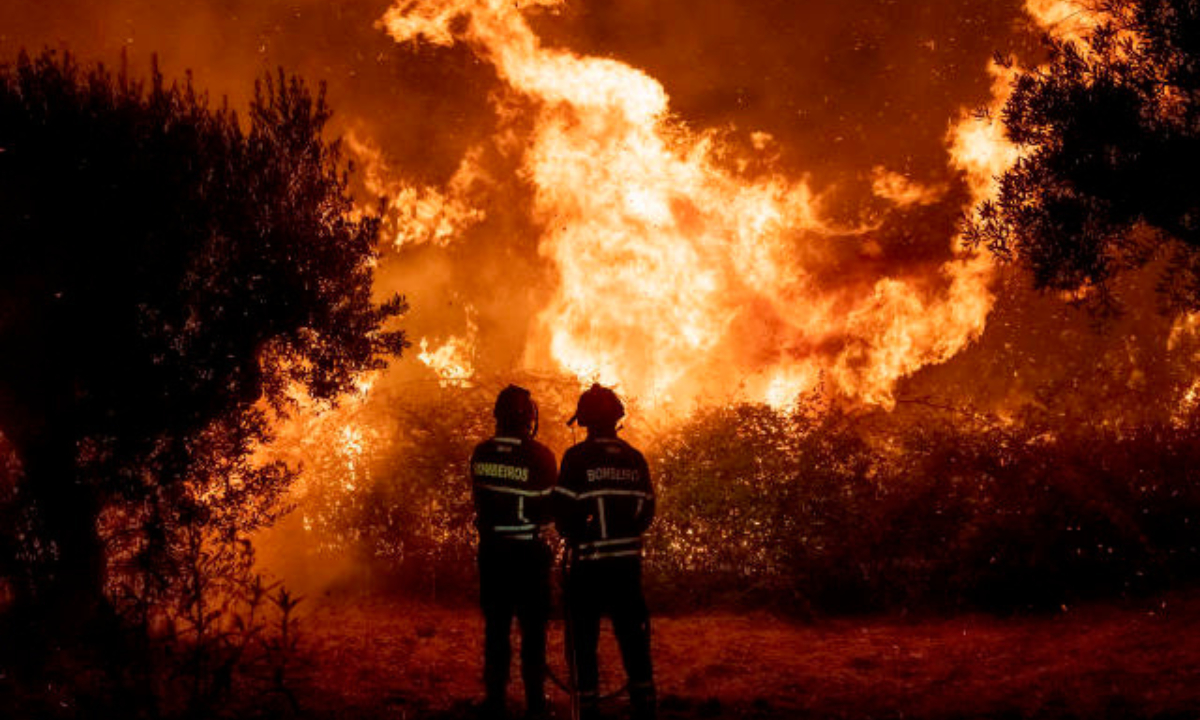 Incendio  forestal en Campeche ya afectó más de 2 mil hectáreas en Zona de la Montaña  