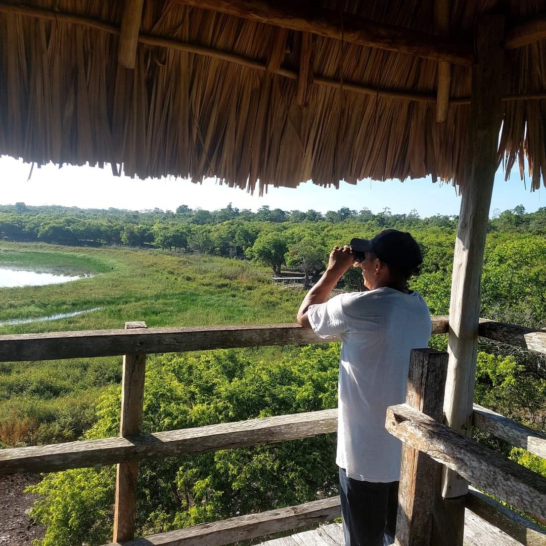 La laguna Nachi Cocom es un santuario para especies amenazadas en el Oriente de Yucatán La laguna Nachi Cocom es un santuario para especies amenazadas en el Oriente de Yucatán