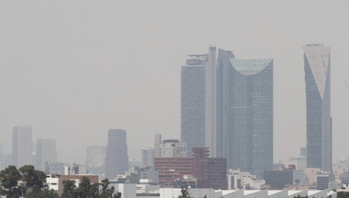 Torre de BBVA en CDMX, ubicada en la alcaldía Cuauhtémoc